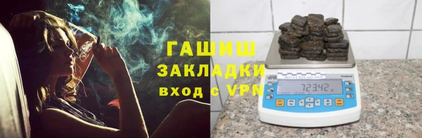 хмурый Алексин