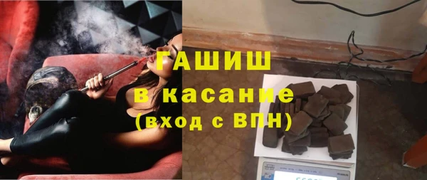 хмурый Алексин