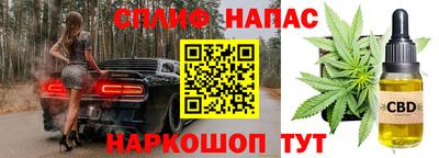 ECSTASY Ливны