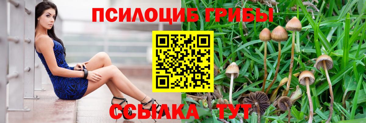 Меф МЯУ МЯУ   Гашиш  Новосибирск  Вход с VPN  COCAIN  Экстази  Где купить  LSD-25  МДМА  Каннабис 