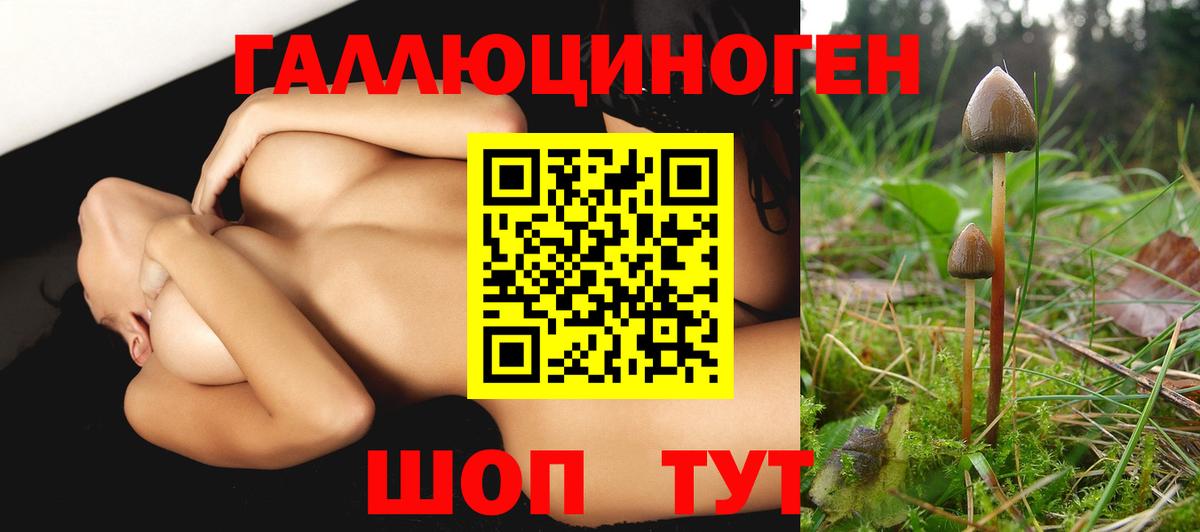 Псилоцибиновые грибы прущие грибы  Псилоцибиновые грибы мухоморы  Вход с VPN  Новосибирск 
