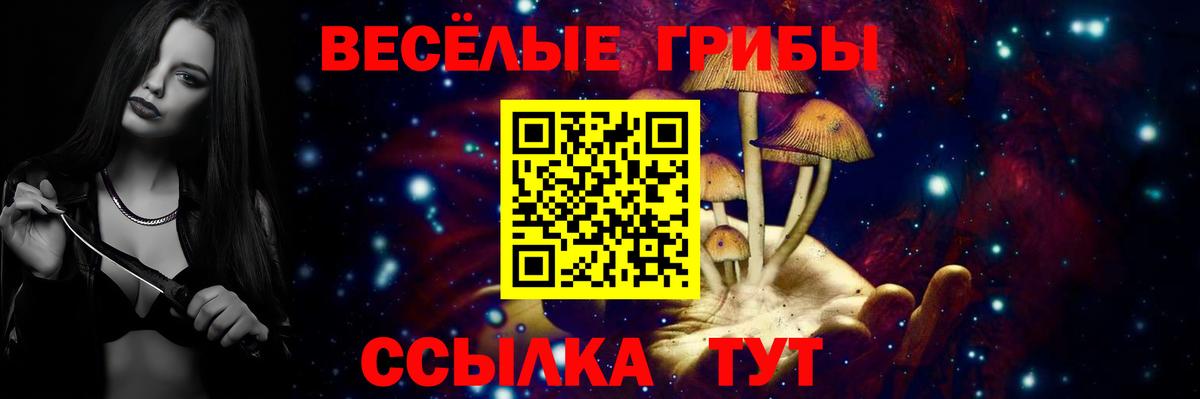 Псилоцибиновые грибы Cubensis Новосибирск